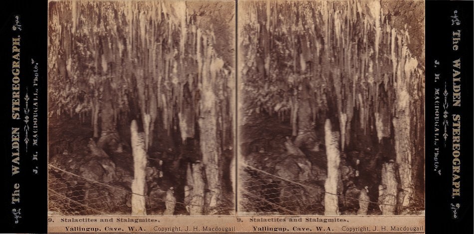 The chicken wire was used extensively to protect cave formations from visitors. Here it is keeping the stalactites and stalagmites in check. Yallingup Cave, WA. - JHA MacDougall's Stereographs