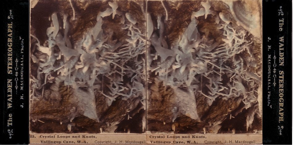 Excellent images of helictites in Yallingup Cave, WA. - JHA MacDougall's Stereographs