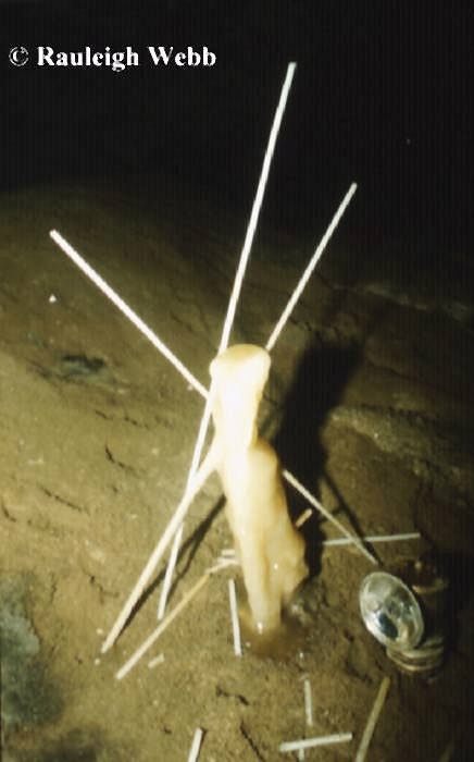 A stalagmite with 3 "broken" straws "attached" to it! The formation was named Geronimo - any guesses why? - Papua New Guinea
