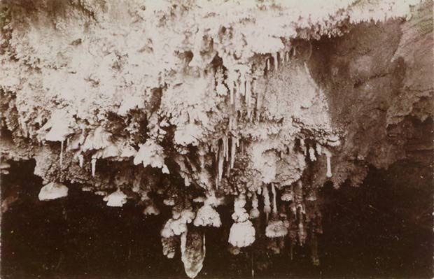 Photo of what are commonly known as "sucker pod" formations. The photograph was taken in Blackboy Hollow Cave at Margaret River. - Cave Postcards