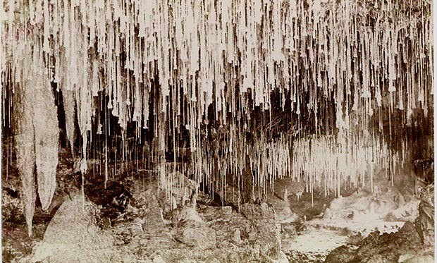 This WAS one of the most beautiful displays of crystal encrusted straws anywhere! Photograph taken in Calgardup Cave in the South-West of WA in 1903 or before by unknown photographer. Scanned from a postcard kindly loaned by WA collector of postcards, Mike Kouwen. - Vandals